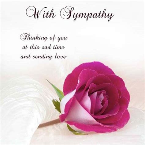 We did not find results for: 31 Inspirational Sympathy Quotes for Loss with Images | Inspirational, Condolences and Strength