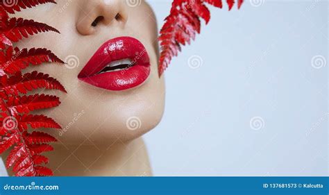 een vrouw met sensuele rode lippen en een varenblad stock afbeelding image of schoonheid