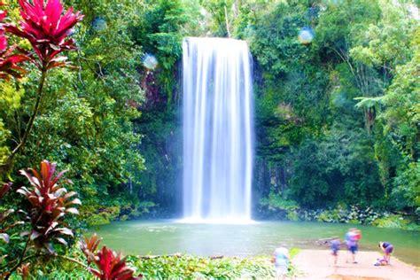 Tropical Rainforest Waterfall Android Wallpaper Hugo Hd Waterfall
