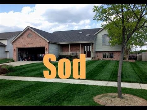 How often to water new sod? New Sod Fertilizing And Treatment Schedule | New Sod Care ...