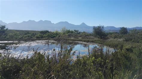 Hiking And Picnics At The Helderberg Nature Reserve In Somerset West