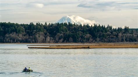 Mt Tahoma Photo Taken At The Nisqually Reach Nature Center R