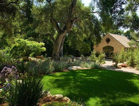 Massive undertakings to alter the grade of the landscape or to change soil ph under a tree are difficult and often impractical. Landscaping Ideas Under Pine Trees ~ Landscaping Design Idea