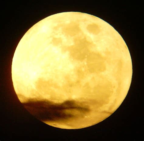 Yellow Moon Free Photo 1513551