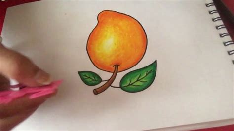 How To Draw A Mango With Oil Pastel Shading Youtube