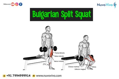 Bulgarian Split Squats Nuvovivo Reverse Your Age And Lifestyle Diseases