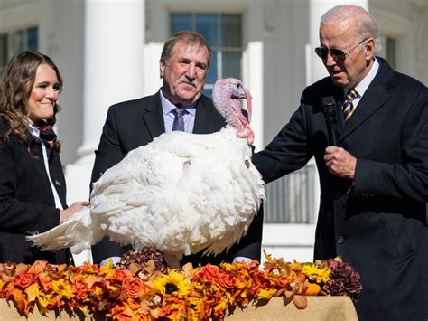 joe biden pardons turkeys chocolate and chip gives thanks for no ballot stuffing and no fowl