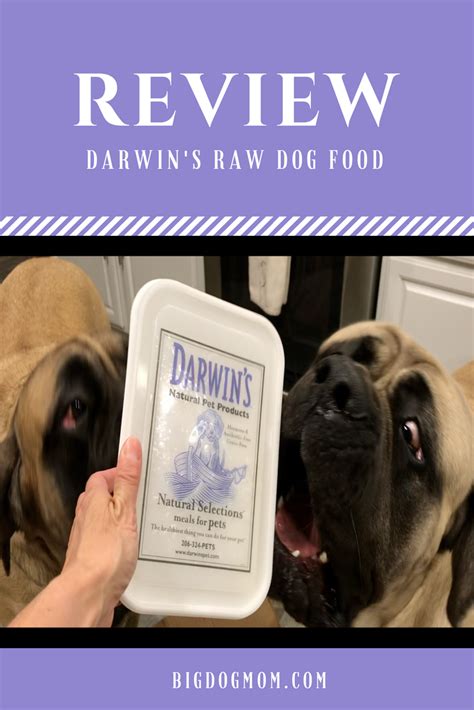 5 Reasons Why Darwins Raw Dog Food Is Great For Big Dogs Dog Food