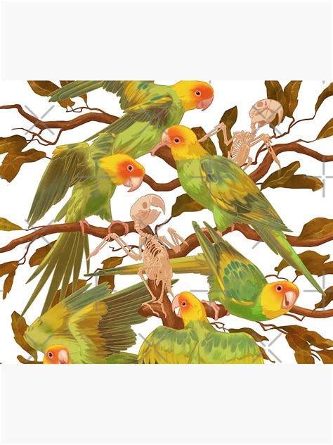 The Extinction Of The Carolina Parakeet Tapestry For Sale By Ikerpazstudio Redbubble