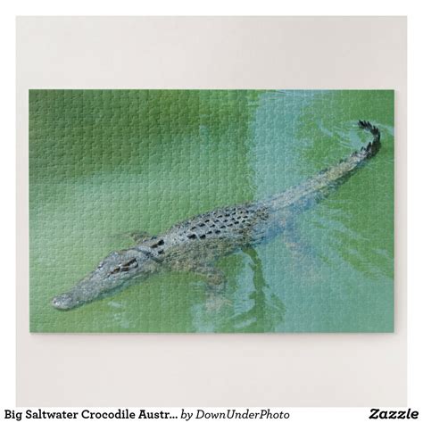 Big Saltwater Crocodile Australia 1014 Pieces Jigsaw Puzzle Zazzle