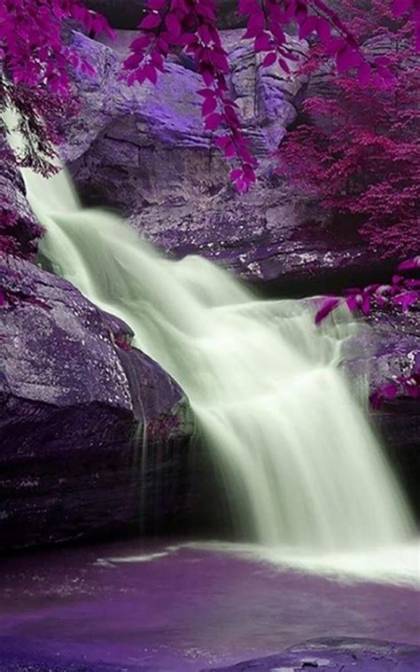 Lavender Falls Waterfall Pink Forest Beautiful Waterfalls