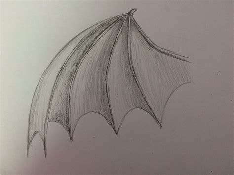 My Artistic Life How To Draw Dragon Wings