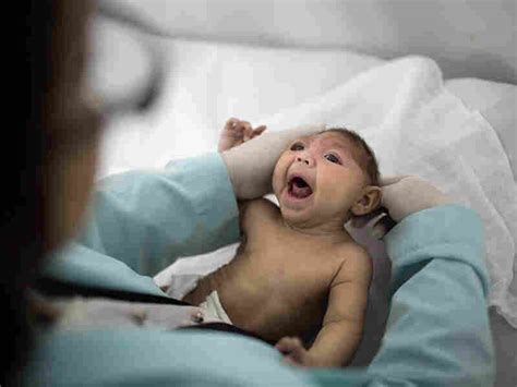 Zika Virus What Happened When Shots Health News Npr