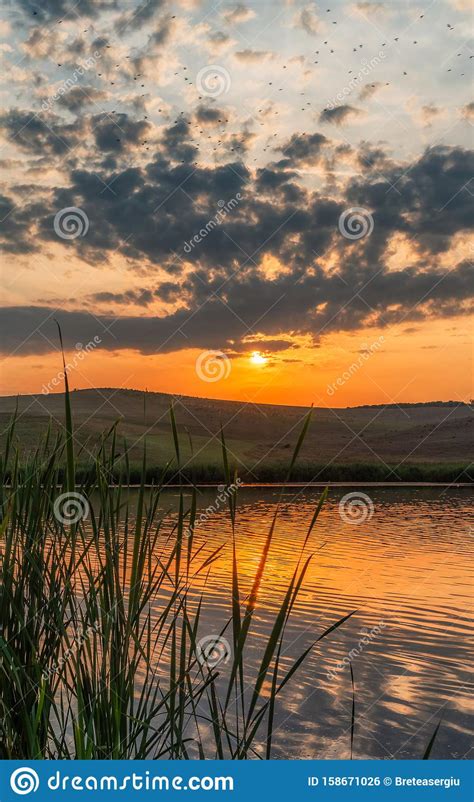 Orange Sunset Over Lake During Summer Stock Photo Image Of Orange