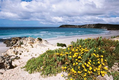 Explore Kangaroo Island Like A Local Travel Insider