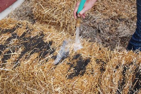 Garden Anywhere This Season With The Help Of Straw Bale Gardening