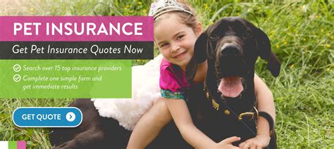 Compare Cheap Pet Insurance Quotes Utility Saving Expert Pet