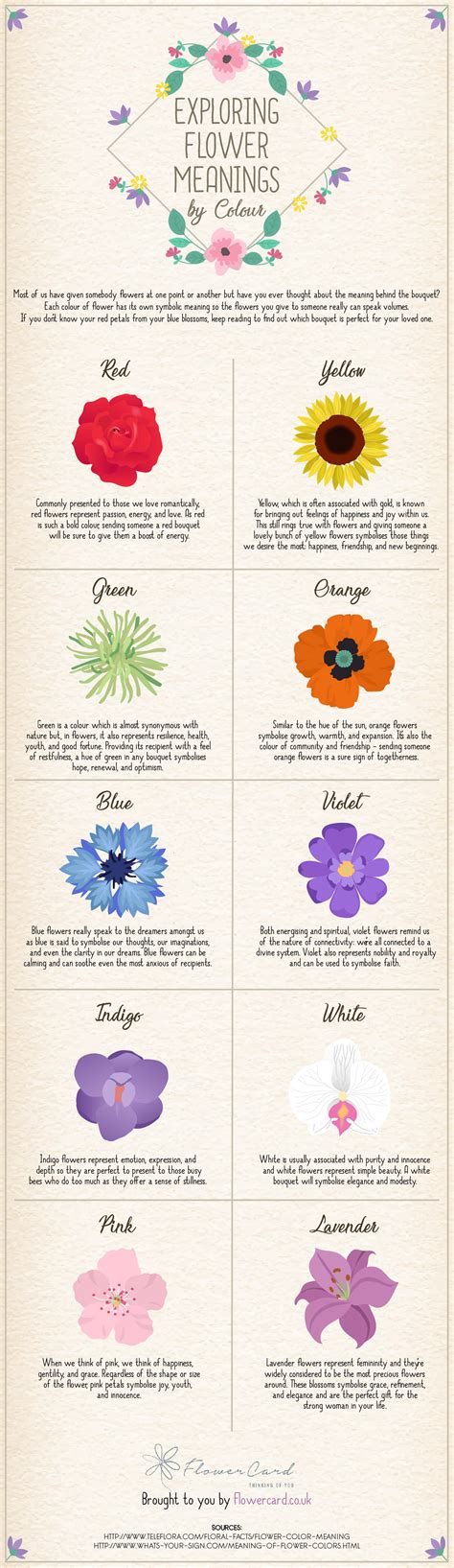 Exploring Flower Meanings By Colour Infographic Flowercard