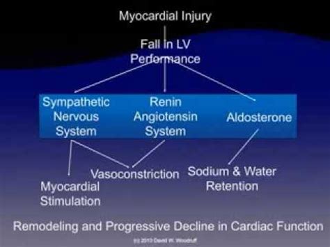 Drugs known to precipitate or aggravate hf such as nonsteroidal antiinammatory drugs. Pathophysiology of Heart Failure - YouTube