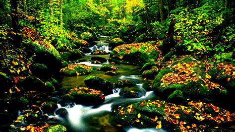 Hd Nature Hdr Photography Rivers Creek Free Download Wallpaper
