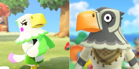 Animal Crossing The 9 Best Eagle Villagers To Get On Your Island Ranked