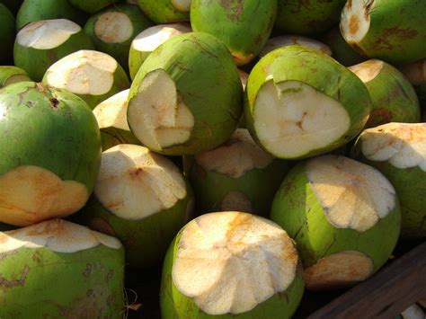 (you will need a heavy cleaver. Free Green Coconuts Stock Photo - FreeImages.com