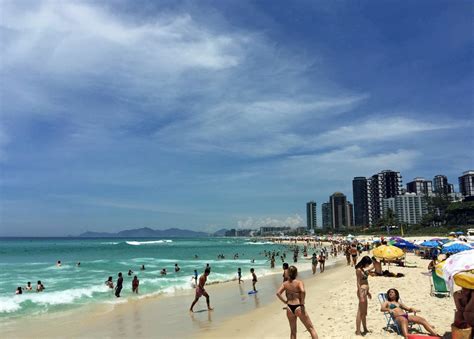 Cardume é visto do alto em praia do Rio com água cristalina veja vídeo