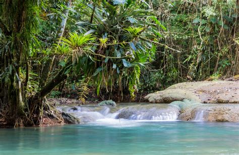 How To Spend 24 Hours In Black River Jamaica