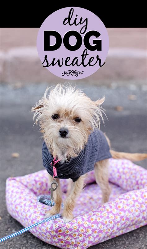 Dog Sweater Sewing Pattern And Cute Puppy Pictures See Kate Sew Diy