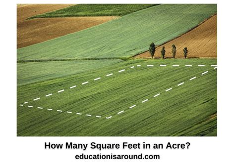 How Many Square Feet In An Acre Education Is Around