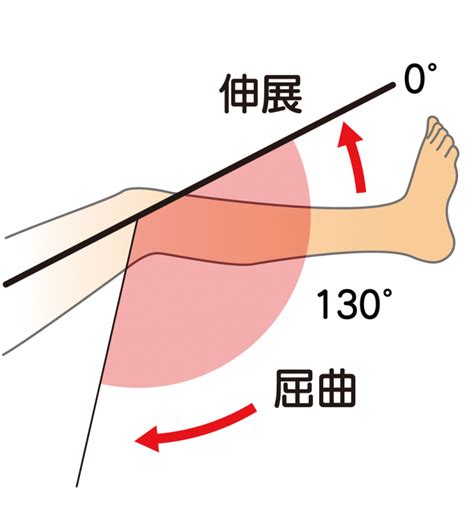 【歩行分析】下肢の関節可動域の特徴・測定方法、注意点まとめ 歩行分析システム Ayumi Eye