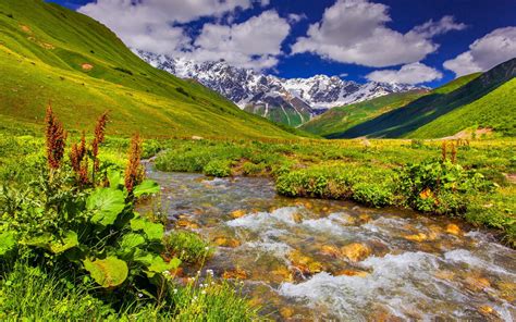 Online Crop River And Green Grass Field Nature Mountains Water