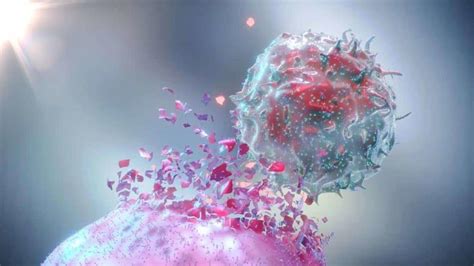 Engineered Immune Cells Deliver Anticancer Signal Prevent Cancer From