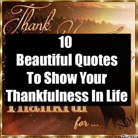 10 Beautiful Quotes To Show Your Thankfulness In Life