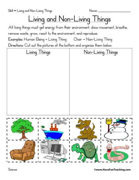 Living And Non Living Things Sort Worksheet Have Fun Teaching