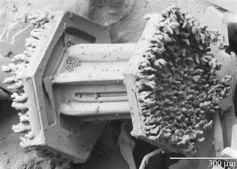 Snowflake Images Under An Electron Microscope