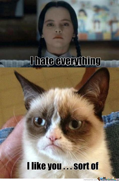 Mad Cat And Wednesday Grumpy Cat Quotes Funny Grumpy Cat