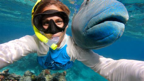 Snorkelling On The Great Barrier Reef With Lunch