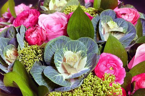 9 Great Varieties of Ornamental Cabbage (Flowering Kale)
