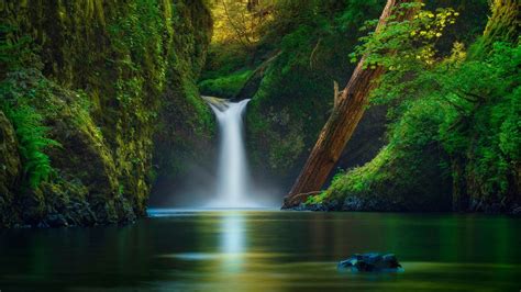 Beautiful Waterfall Lake Rocks Forest Green Leaves Hd Nature Wallpapers Hd Wallpapers Id