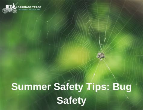 Summer Safety Tips Bug Safety Carriage Trade Insurance Agency