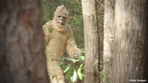 Video Surprise Appearance By Bigfoot At Birthday Party Terrifies