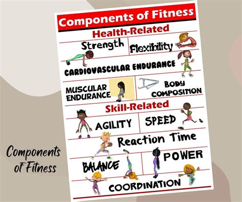 The Skill Related Components Of Fitness What Every Physical Education