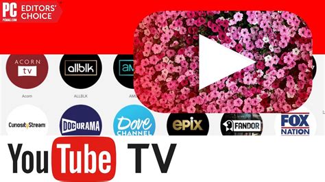 YouTube TV Channel List YouTube