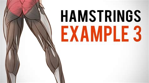 Proko Hamstrings Muscle Assignment Example 3