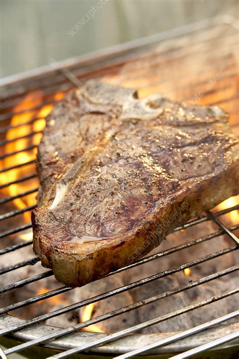 T Bone Steak On Barbeque Grill Stock Image C051 4784 Science