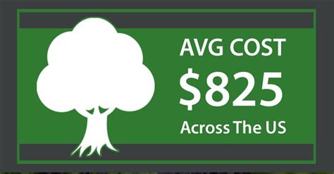 How much do cpas cost per hour on average? How Much Does Tree Removal Cost? - Phoenix Trim-A-Tree, LLC.