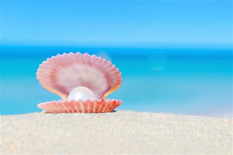 Open Shell With A Pearl On Sandy Beach Stock Photo Download Image Now