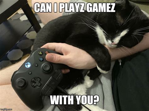 Gamer Cat Imgflip