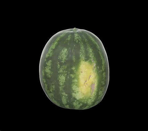 Watermelon Watermelon 3d Model Low Poly Cgtrader